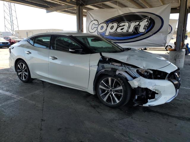 Vin: 1n4aa6cv2pc511770, lot: 62664065, nissan maxima sv 20234