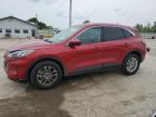 2021 FORD ESCAPE SE - 1FMCU9G69MUA96091
