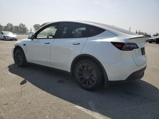 2024 TESLA MODEL Y 7SAYGDEE1RF124922