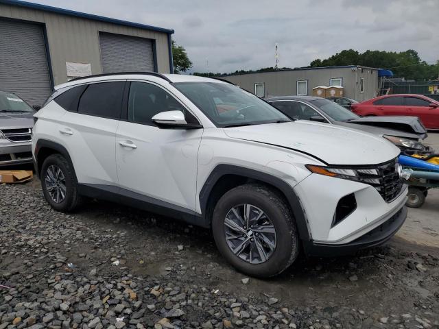 2022 HYUNDAI TUCSON BLU KM8JBCA10NU082217