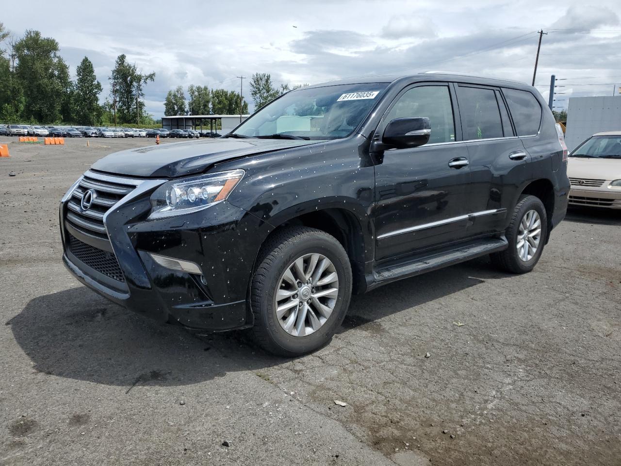 LEXUS GX 460