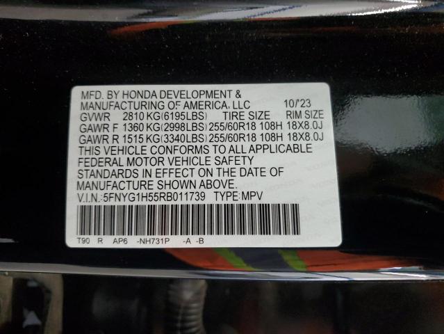 2024 HONDA PILOT EXL 5FNYG1H55RB011739