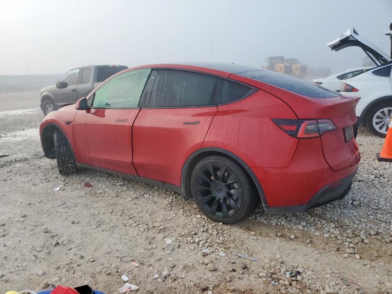 2021 TESLA MODEL Y 5YJYGDED5MF118330