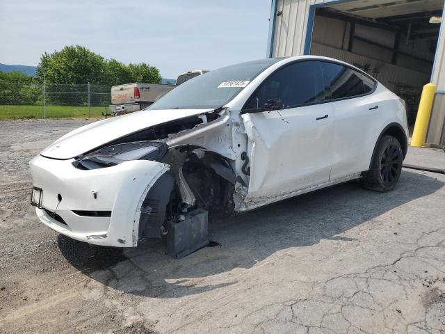 Vin: 7saygdee0pf676165, lot: 59161425, tesla model y 2023 img_1