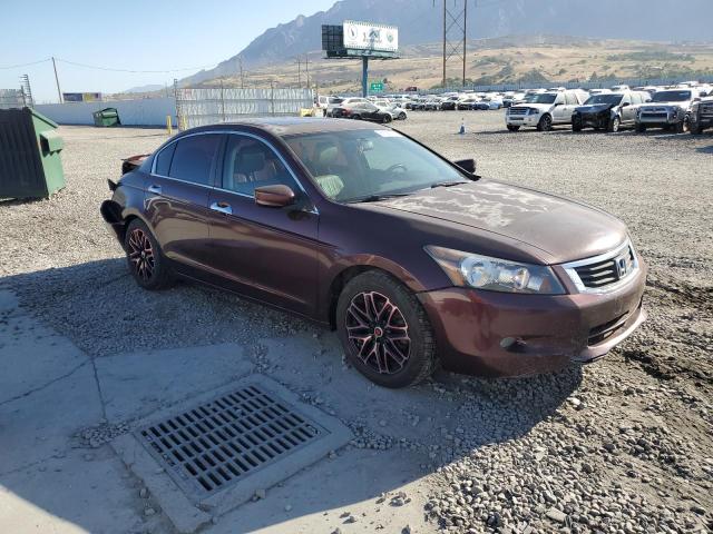 Vin: 5kbcp3f86ab016814, lot: 61621715, honda accord exl 20104