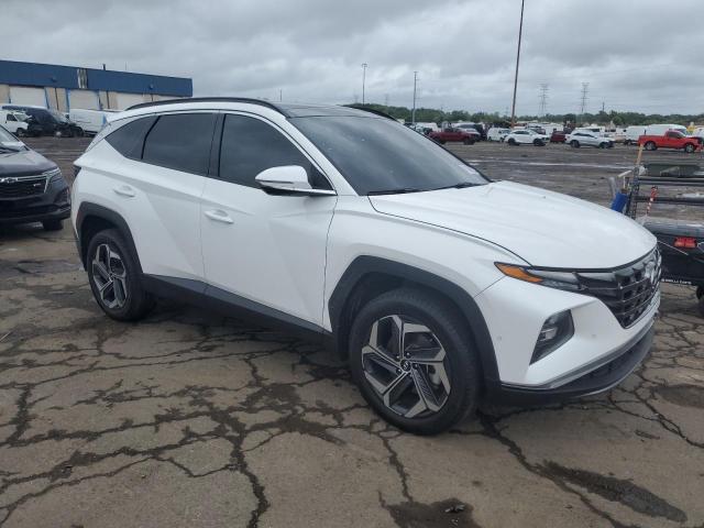 2023 HYUNDAI TUCSON LIM 5NMJECAE9PH233581