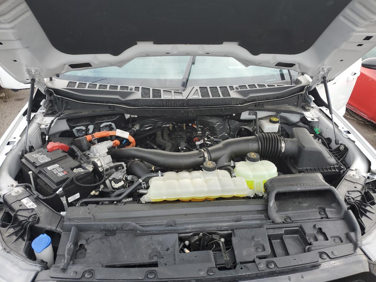 Lot #3302720017 2024 FORD F150 LARIA