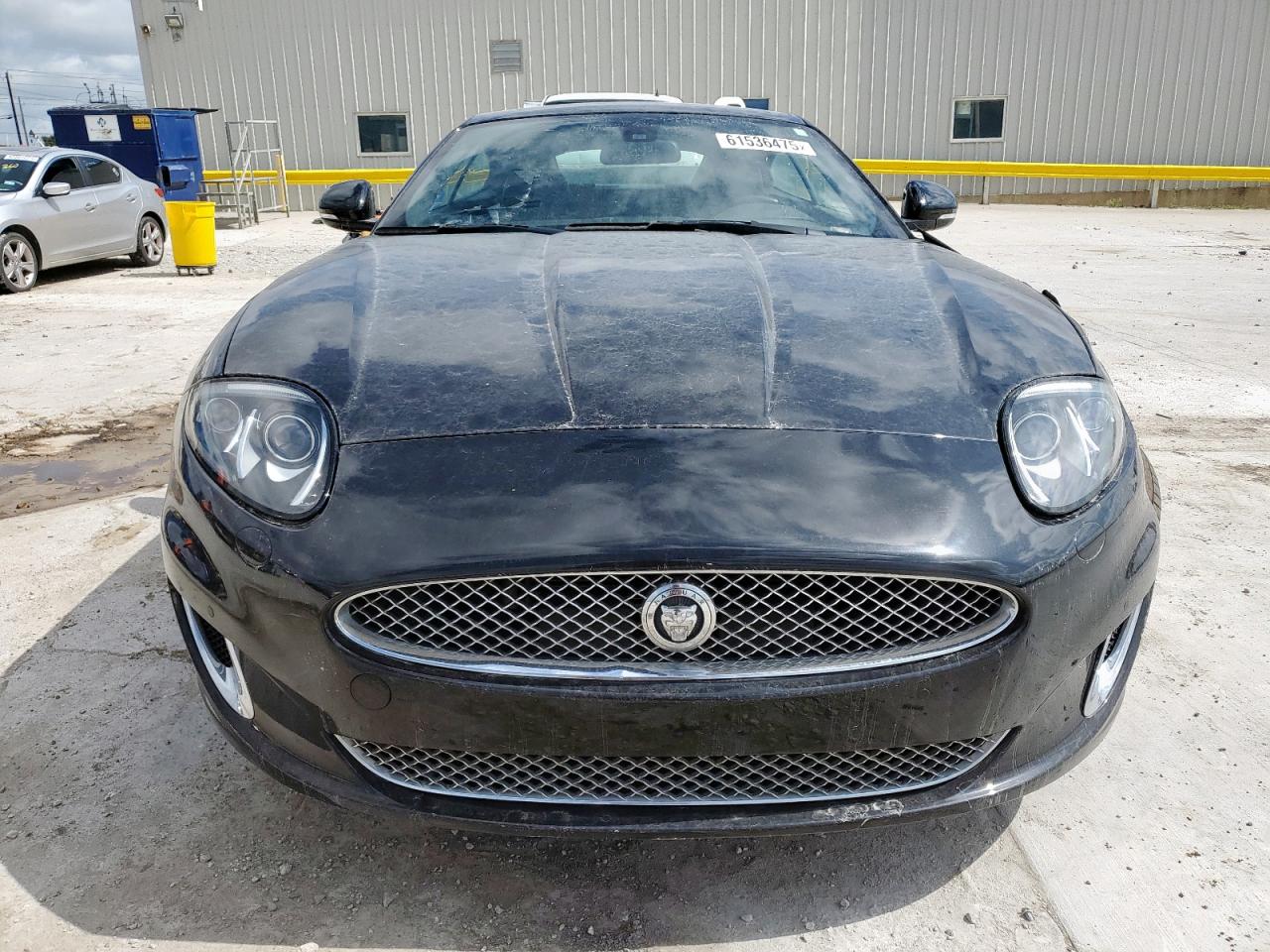 JAGUAR XK