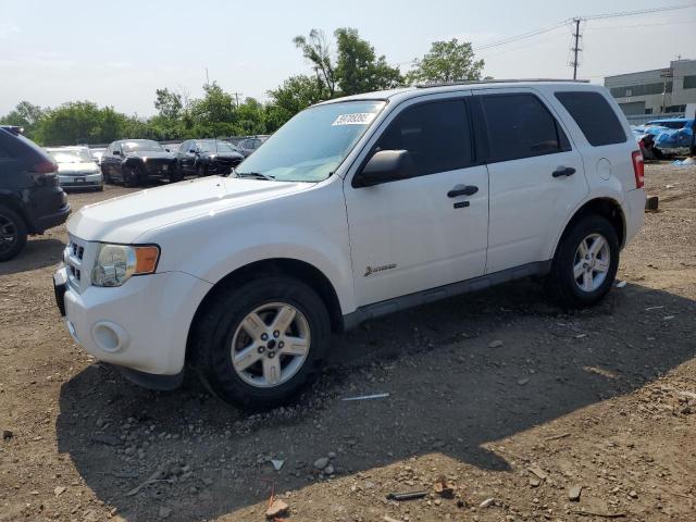 Vin: 1fmcu4k3xbka56711, lot: 59789395, ford escape hybrid 2011 img_1