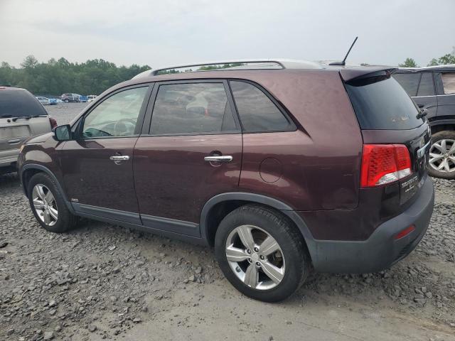 Vin: 5xykuda21dg317760, lot: 59554065, kia sorento ex 20132
