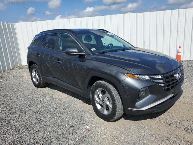 Vin: 5nmjbcae3ph217966, lot: 60614095, hyundai tucson sel 20234