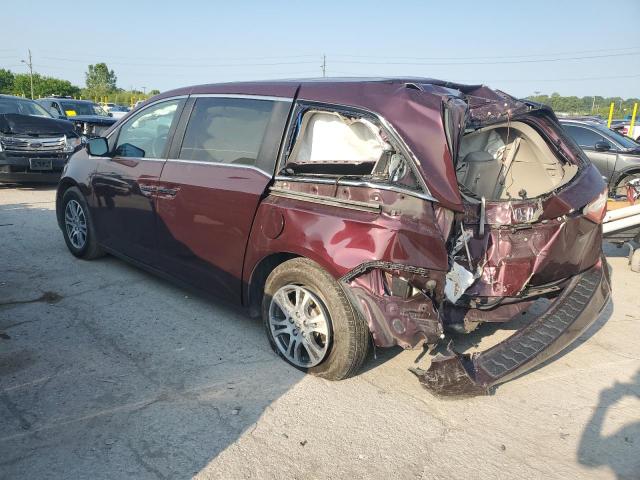 Vin: 5fnrl5h61db038168, lot: 59107785, honda all models exl 20132