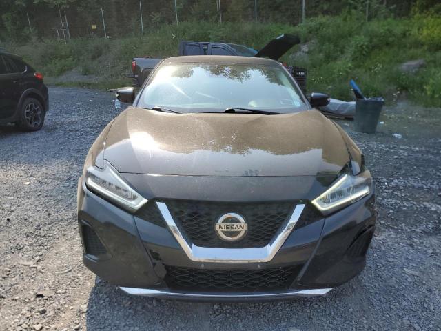 2020 NISSAN MAXIMA SV 1N4AA6CV5LC365679