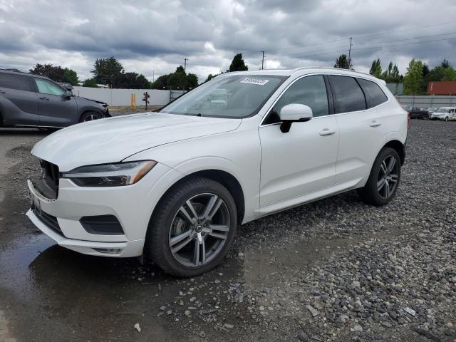 Vin: yv4102rkxm1826436, lot: 59588325, volvo xc60 t5 momentum 2021 img_1