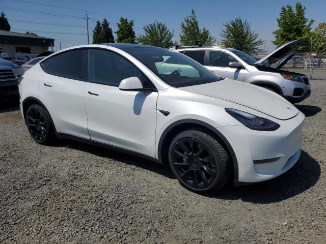 Vin: 5yjygdee2lf058322, lot: 61638775, tesla model y 20204