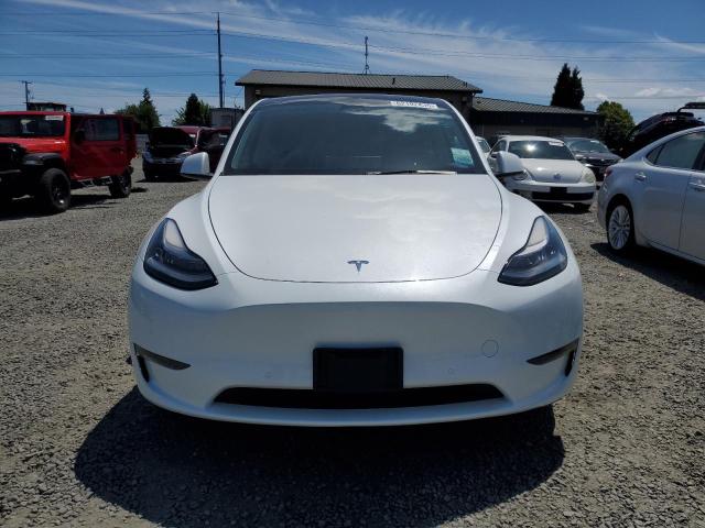 2021 TESLA MODEL Y 5YJYGAEE4MF239504
