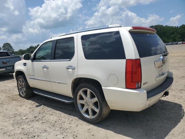 CADILLAC ESCALADE 2009 cream  flexible fuel 1GYFK23209R224272 photo #3