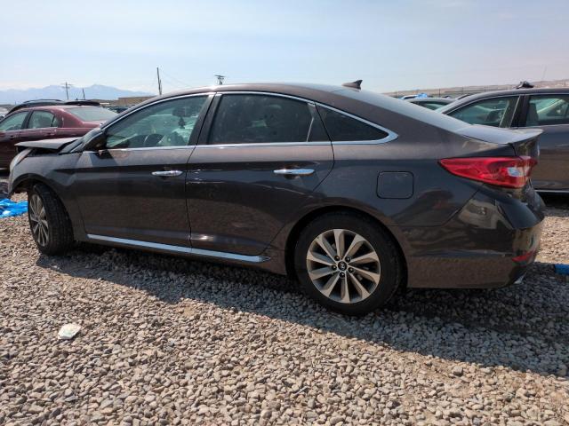 2016 HYUNDAI SONATA SPO 5NPE34AF9GH435880