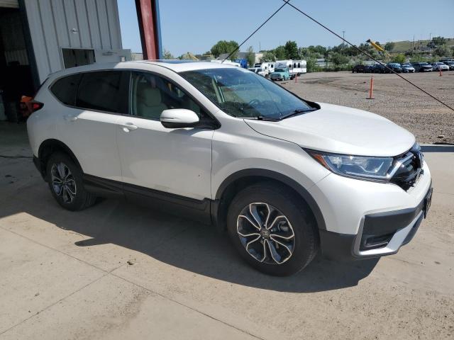 2022 HONDA CR-V EXL - 5J6RW2H89NA013160