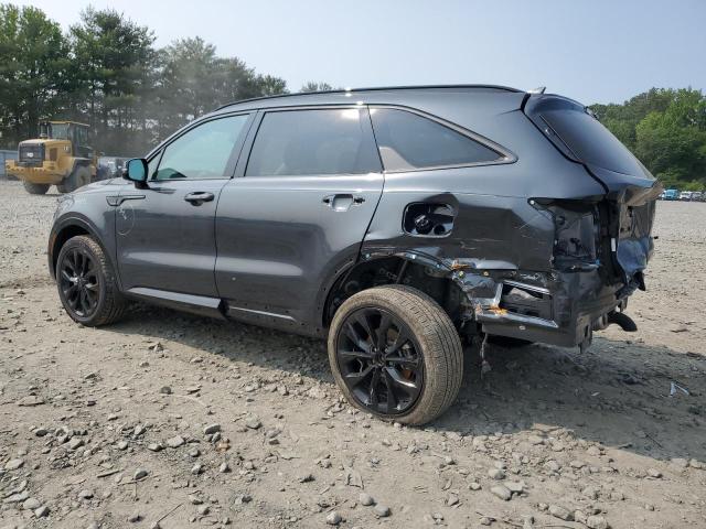 Vin: 5xyrkdlf9pg248020, lot: 58073885, kia sorento sx 20232
