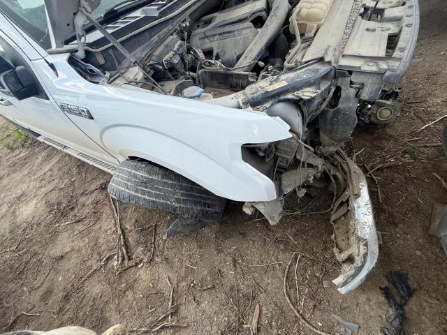Vin: 1ftew1e48kfb70600, lot: 59149665, ford f-150 supercrew 2019 img_1