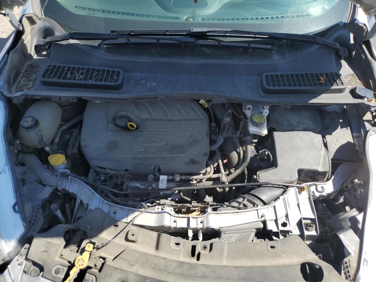 Lot #3221293254 2017 FORD ESCAPE SE