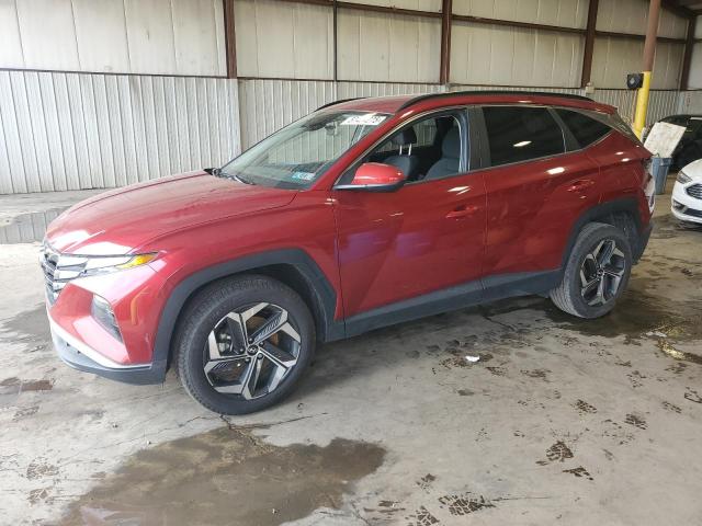 Vin: 5nmjbcde6rh427816, lot: 57404275, hyundai tucson sel 2024 img_1
