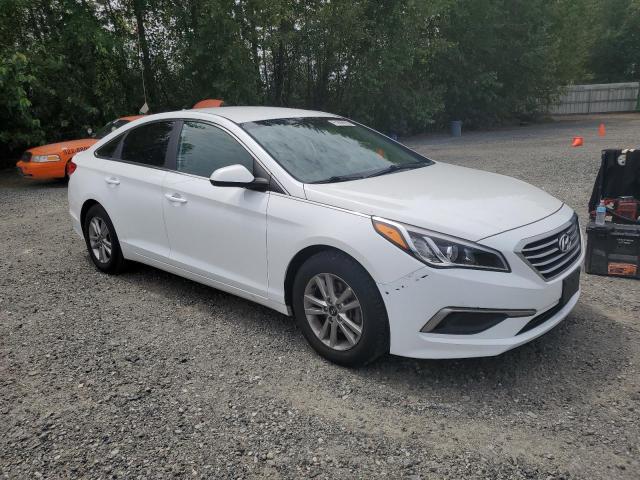 Vin: 5npe24af9gh360407, lot: 61868655, hyundai sonata se 20164