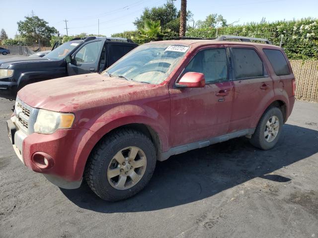 Vin: 1fmcu9eg1bkb84802, lot: 61992215, ford escape limited 2011 img_1