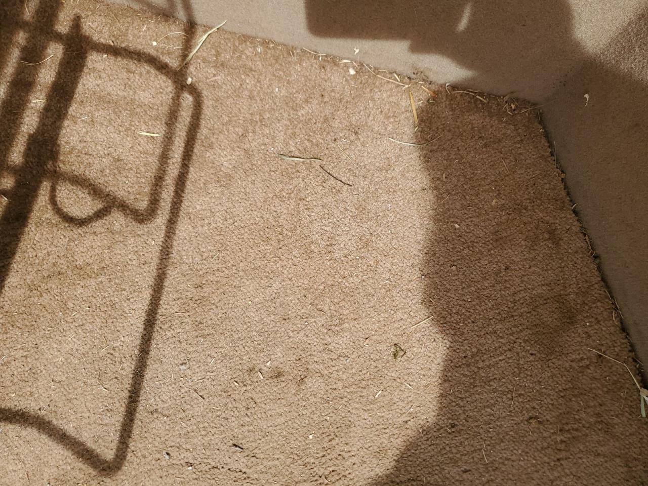 Lot #3207436158 2014 TRAILSWEST UNKNOWN