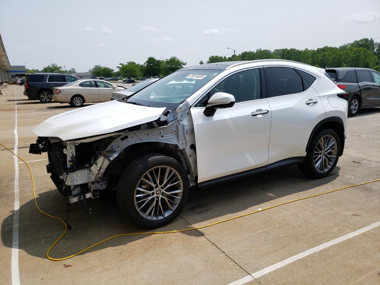 LEXUS NX 350H BASE