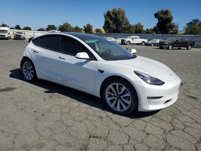 2019 TESLA MODEL 3 5YJ3E1EA8KF407557