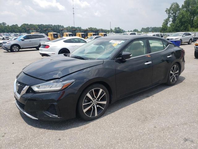 NISSAN MAXIMA SV