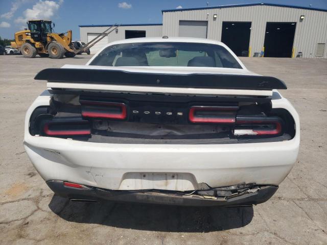 2019 DODGE CHALLENGER 2C3CDZGG6KH683625