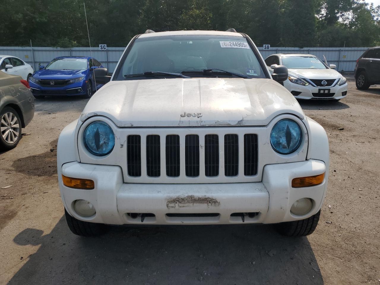 Global Auto Auctions