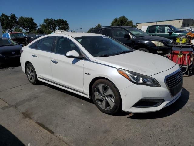 2016 HYUNDAI SONATA PLU KMHE14L24GA031601