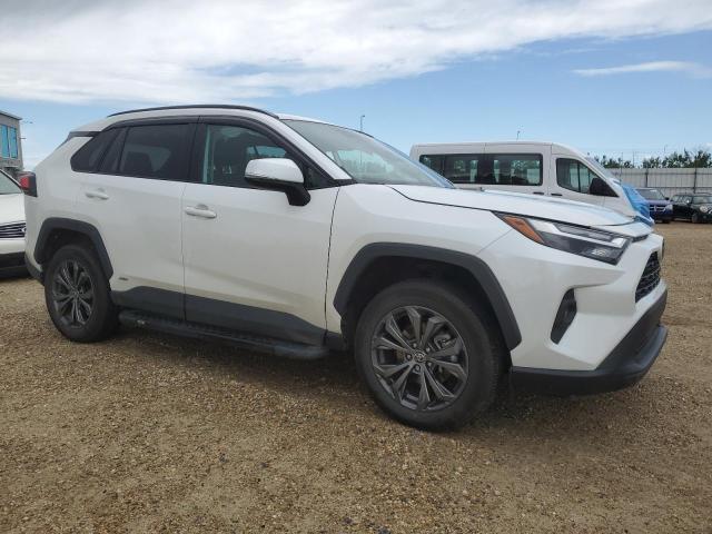Vin: 2t3rwrfv8pw185577, lot: 61792365, toyota rav4 xle 20234