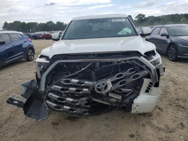 2025 TOYOTA TUNDRA CREWMAX PLATINUM 5TFNA5DB3SX284570