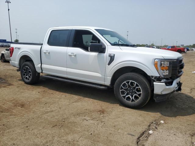 2023 FORD F150 SUPER - 1FTEW1EP7PFB66555