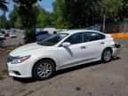2016 NISSAN ALTIMA 2.5 - 1N4AL3AP7GN378716