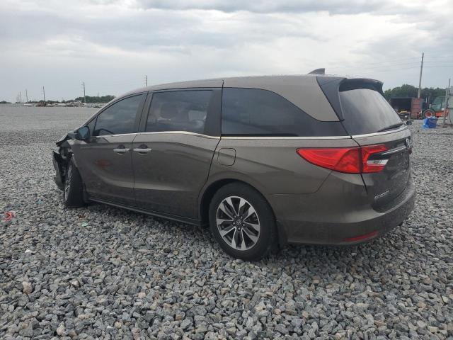 Vin: 5fnrl6h77mb036682, lot: 58636885, honda all models exl 20212