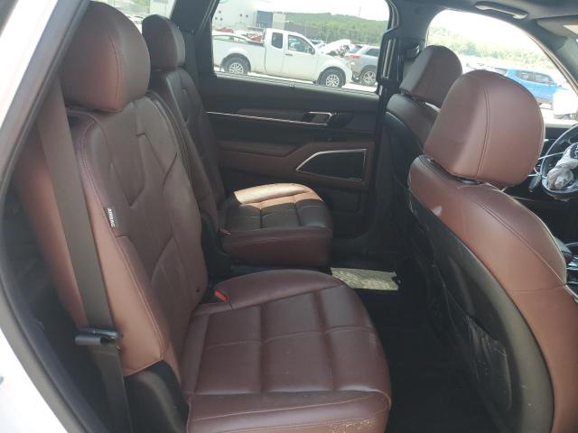 2023 KIA TELLURIDE - 5XYP5DGC5PG357394