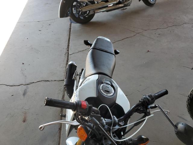 2025 HONDA GROM 125 MLHJC9213S5306814