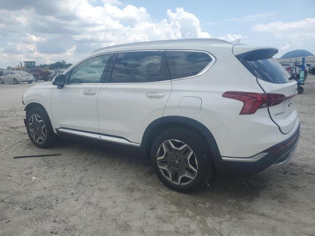 2023 HYUNDAI SANTA FE L 5NMS44AL1PH516147