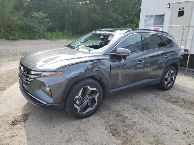 Vin: km8jeca12nu047556, lot: 61155695, hyundai tucson limited 2022 img_1