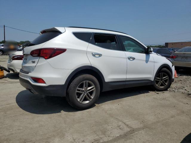 2017 HYUNDAI SANTA FE S - 5NMZUDLB8HH028639
