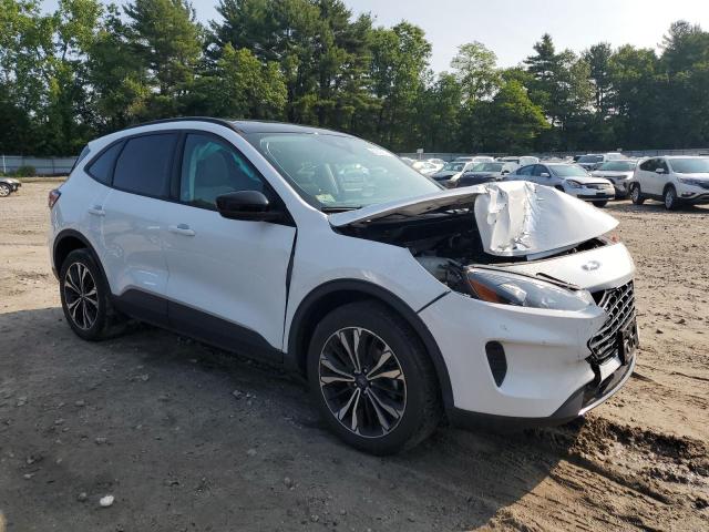 2022 FORD ESCAPE SE - 1FMCU9G68NUB51003