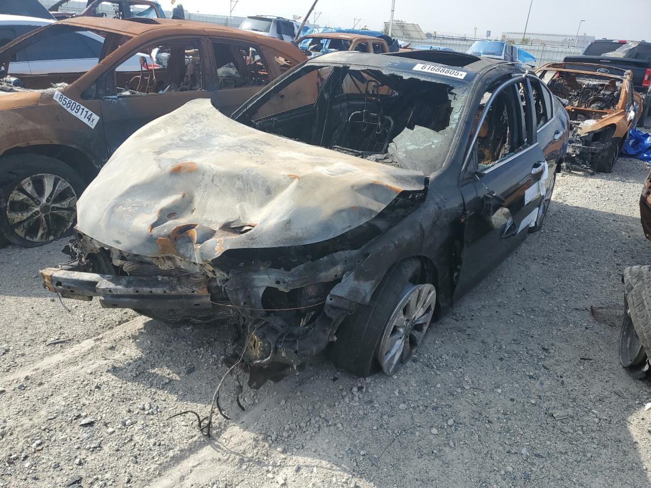 HONDA ACCORD EXL