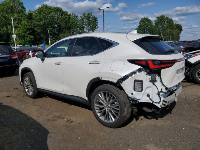 Vin: 2t2hgcez1rc048676, lot: 58994635, lexus nx 350 lux 350 luxury 20242