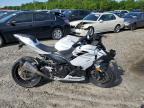 2023 KAWASAKI EX400 - JKAEXKH16PDAR8106